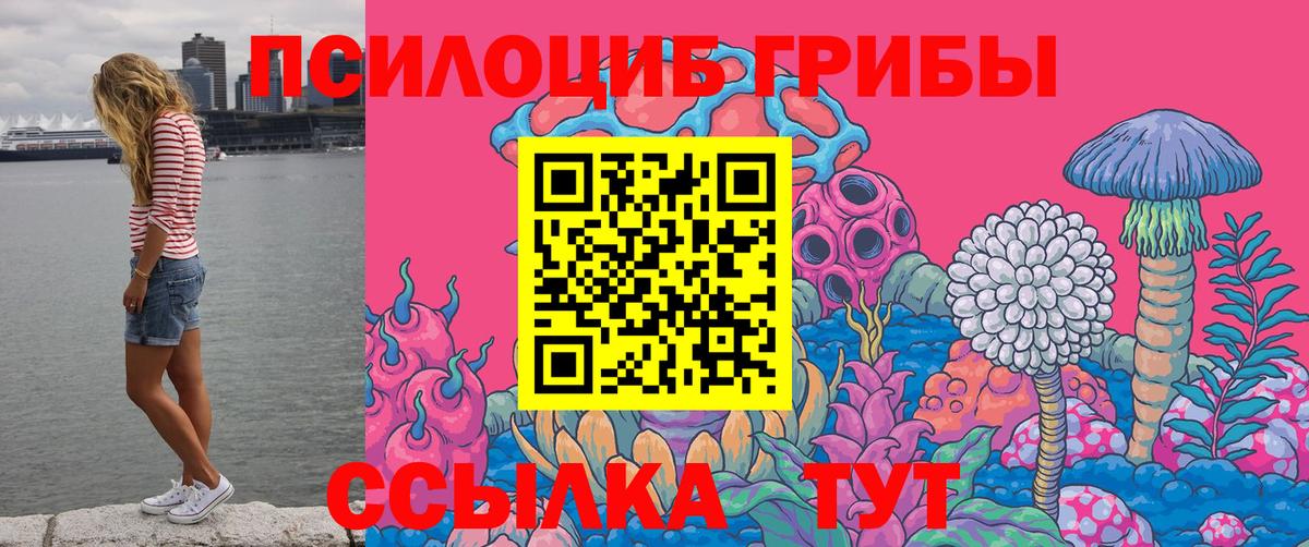 Псилоцибиновые грибы MAGIC MUSHROOMS  Вход с VPN  Великий Устюг 
