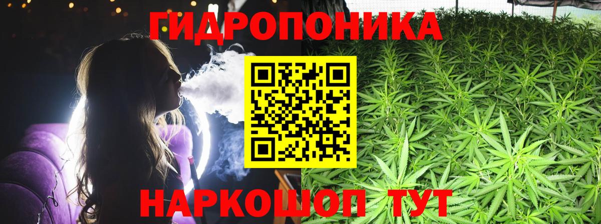 Марихуана OG Kush  Вход с VPN  Конопля ГИДРОПОН  Великий Устюг  Канабис THC 21% 